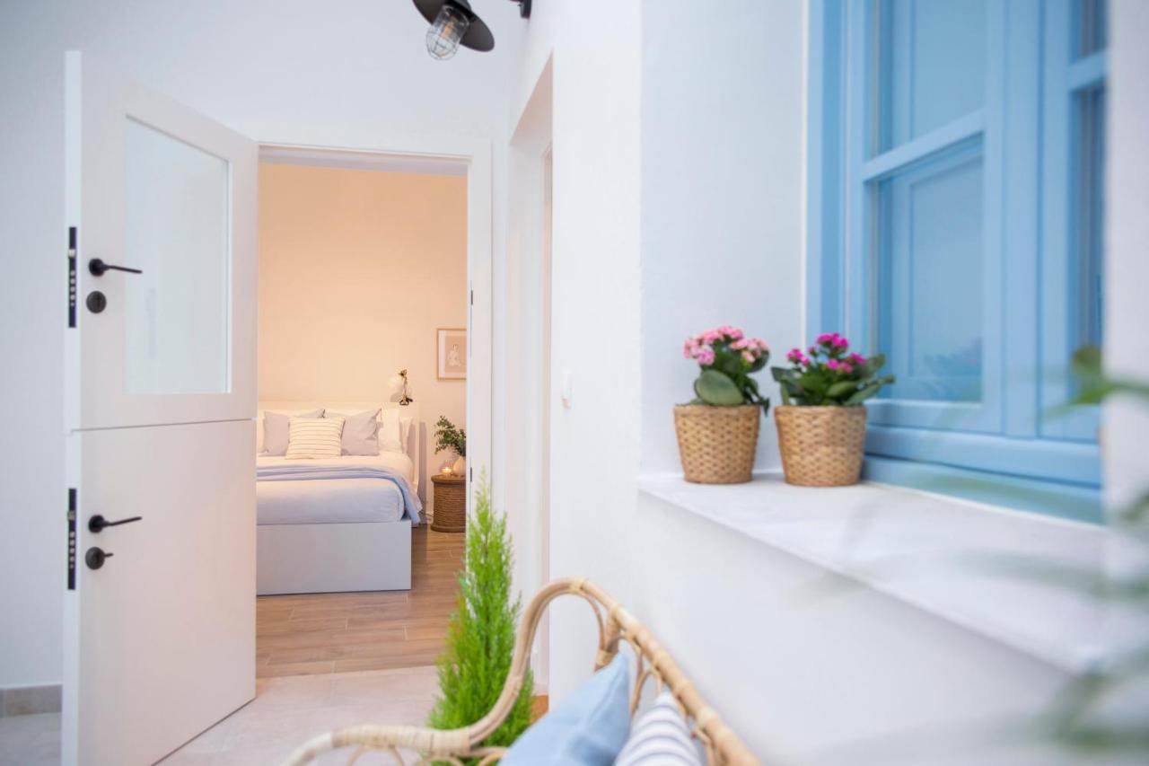 Apartamento Cadiz Centro Blue Window Eksteriør billede